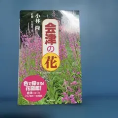 Item thumbnail for item 15b22d27-7da2-4ddd-a936-7638a79689a9