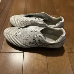 asics DS Light X-Fly Pro 3