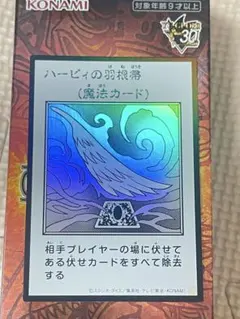 遊戯王 ハーピィの羽根帚 30th ANNIVERSARY