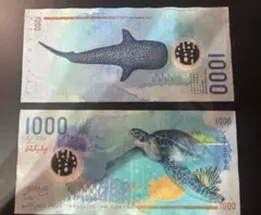 モルディブ 1000ルフィア（MVR）紙幣（海亀・ジンベイザメ） - メルカリ