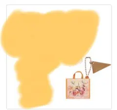 【未使用】東京ディズニーランド　40周年カプセルトイ　ショッピングバッグ