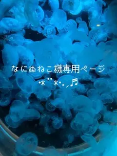 なにぬねこ様 リクエスト 2点 まとめ商品