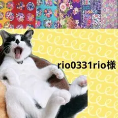 rio0331rio様 リクエスト 4点 まとめ商品