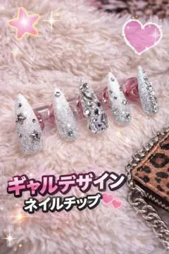 ギャルデザイン ネイルチップ シルバー