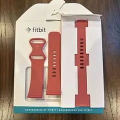 Fitbit Versa 4 ピンクサンド/カッパーローズ バンド