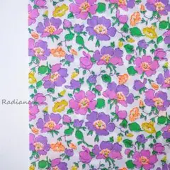 Item thumbnail for item 3890e049-d0b9-43ec-92c2-13dad2123323