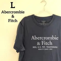 Abercrombie & Fitch ダークグレーメンズ ロゴTシャツL