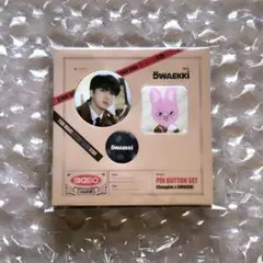 チャンビン ピンボタンセット ②