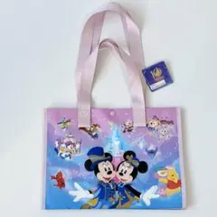 上海ディズニーランド　10周年　ショッピングバッグ　Sサイズ