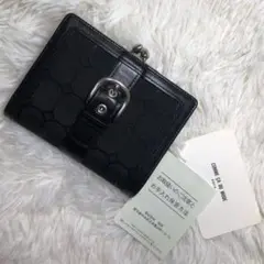 Item thumbnail for item f3d72159-9308-4990-b90c-9fa5bd009e00