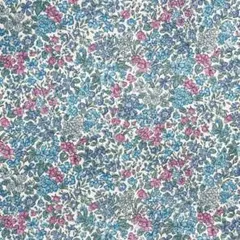 【選べる】♦️〼★☆2リバティ　はぎれ185　❹約25cm×25cm