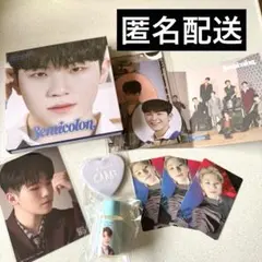 SEVENTEEN セブチ トレカ ウジ セミコロン セット 缶バッジ 特典