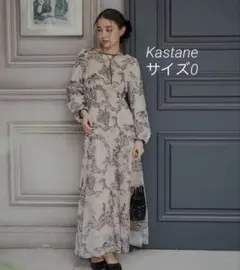 【✨最終値下げ】embroidery organdy dress Kastane