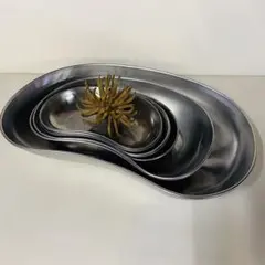 昭和レトロ メディカル ステンレス ケース ボウル