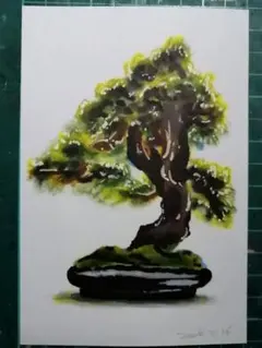 盆栽 絵画 アート イラスト 原画 ドローイング 観葉植物 インテリア 雑貨