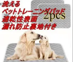 Item thumbnail for item 177f4906-5ddb-4963-b432-f2fd890404db