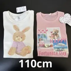 新品未使用タグ付き　110cm Tシャツセット