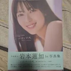 Item thumbnail for item 66cc81f4-a3f0-461b-8302-2103ee987642