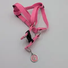 犬用ハーネス　Sサイズのサムネイル