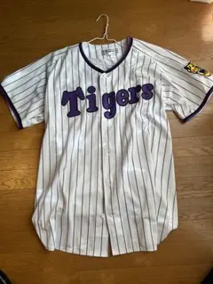 Item thumbnail for item 9f557f46-e348-48cb-9cf3-fdb16369e750