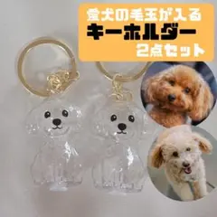 Item thumbnail for item 1c589feb-3755-4e4a-bfd9-e12e0eb701a3