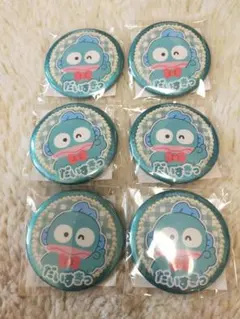 ハンギョドン　缶バッジ　だいすきっ　6個