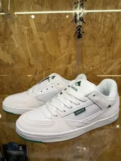 Item thumbnail for item 55703d9f-3aa2-4623-9ce4-58927a552184