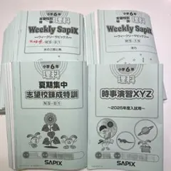 2026年最新】夏期集中志望校錬成特訓の人気アイテム - メルカリ