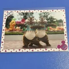 ディズニー TDL スペシャルフォト ハロウィーン 2009 チップ デール