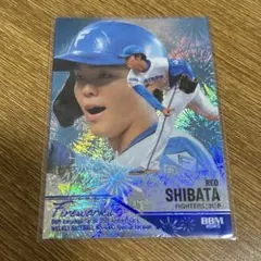 Item thumbnail for item 8e8c3cc8-2a4c-4808-87bb-d6aba292dadb