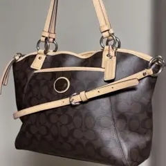 【美品】COACH コーチ シグネチャー 2WAYショルダーバッグ ハンドバッグ