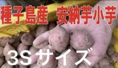 種子島産安納芋紅3Sサイズ5.2kg入り