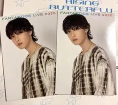 堀夏喜 フォトカード FANTASTICS 2枚セット(同じフォトカ2枚)