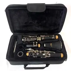 2026年最新】クラリネット本体の人気アイテム - メルカリ