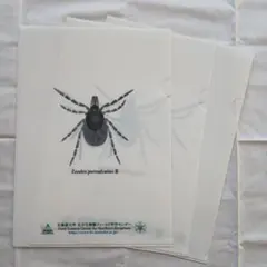 Item thumbnail for item 8594f289-2338-49ef-b2a3-f6fe4f231161