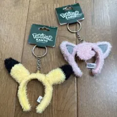 ポケパークカントー　プラスル＆マイナン　セット ポケパークカントー プラスルマイナンセット - メルカリ