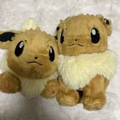 ポケモンセンター　イーブイ　ぬいぐるみ　セット