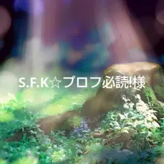 S.F.K☆プロフ必読!様 リクエスト 2点 まとめ商品