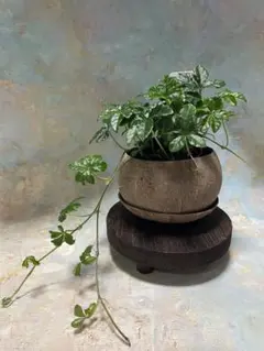 インテリア雑貨　台と鉢２点セット　ガーデニング雑貨
