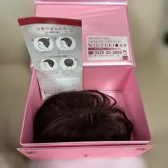 WIG YUKI 頭頂部ウィッグ 専用ケース付き