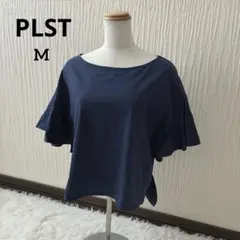 Item thumbnail for item 0904a790-a3a6-495d-ad6a-e2b3f55fe3eb