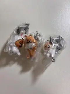 SKZOO つまんでつなげてますこっと vol.2