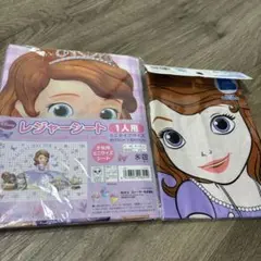 スケーター レジャーシート S 60×90cm 1人用　ソフィア　ランチクロス