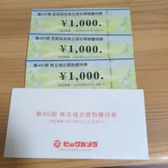 ビックカメラ　優待券　3000円分