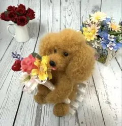 お迎え待ち】手のひらサイズふわふわシーズー ※アクリルケース付き