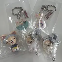 【新品】StrayKids SKZOO フォクシニー 5点セット