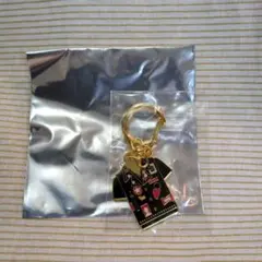 GLAY 衣装メタルキーホルダー HISASHI コンプリートセット GLAY キーホルダー ZEMAITIS HISASHI - メルカリ