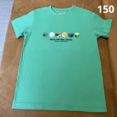 Minecraft マイクラ × ユニクロ コラボ Tシャツ 150サイズ