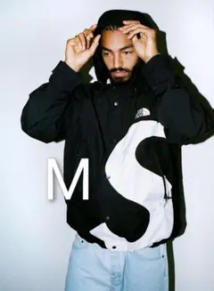 Supreme The North Face S Logo Mountain