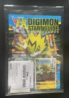 新品未開封】バイタルブレス シャドウハウルDimカード キャンペーン品